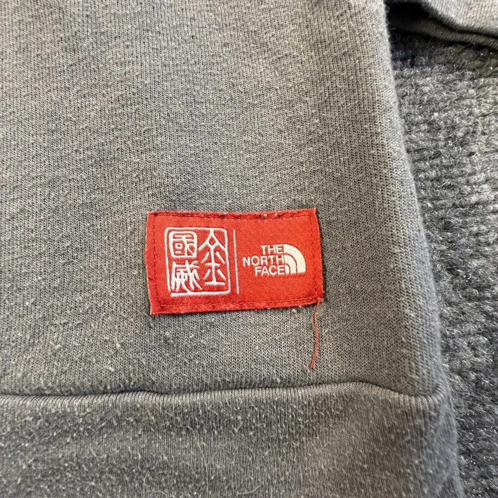 The North Face Mens International Collection Mountain Hoodie Gray Medium 1515